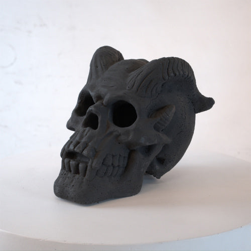 Fireproof human skull