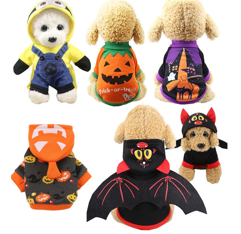 Happy Halloween Outfit - Pet