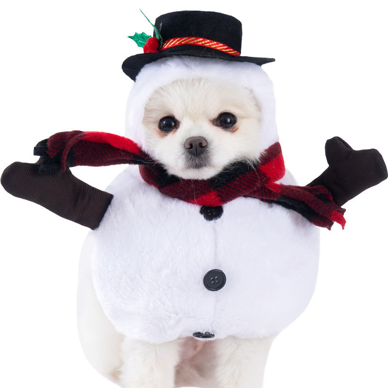 Halloween costume - Favorite pet