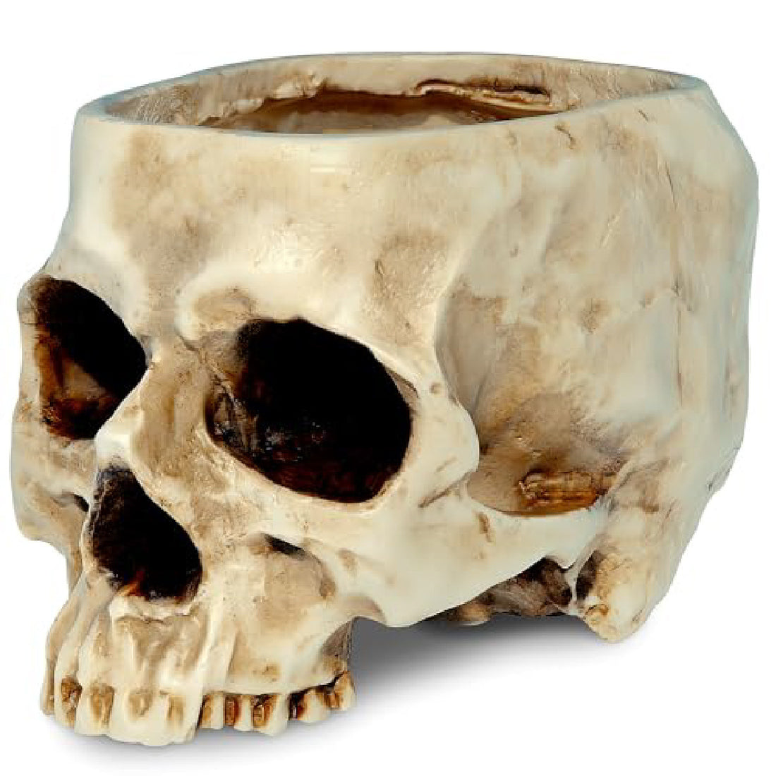 Resin Skull Vase for Halloween