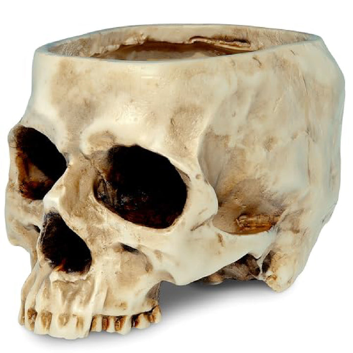 Resin Skull Vase for Halloween