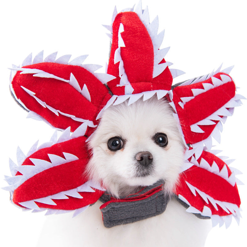 Halloween costume - Favorite pet