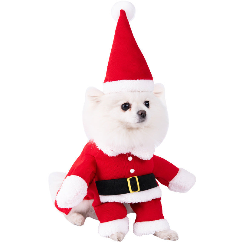 Halloween costume - Favorite pet