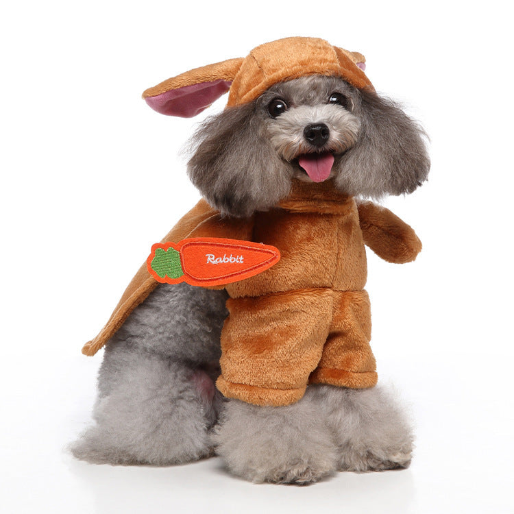 Halloween Costume - Fashion Dog Style