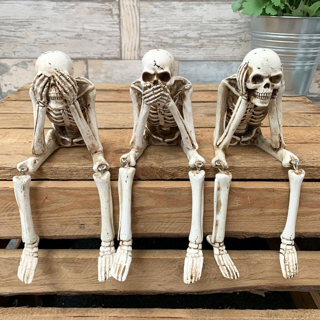 Halloween Decoration - Sitting Skull
