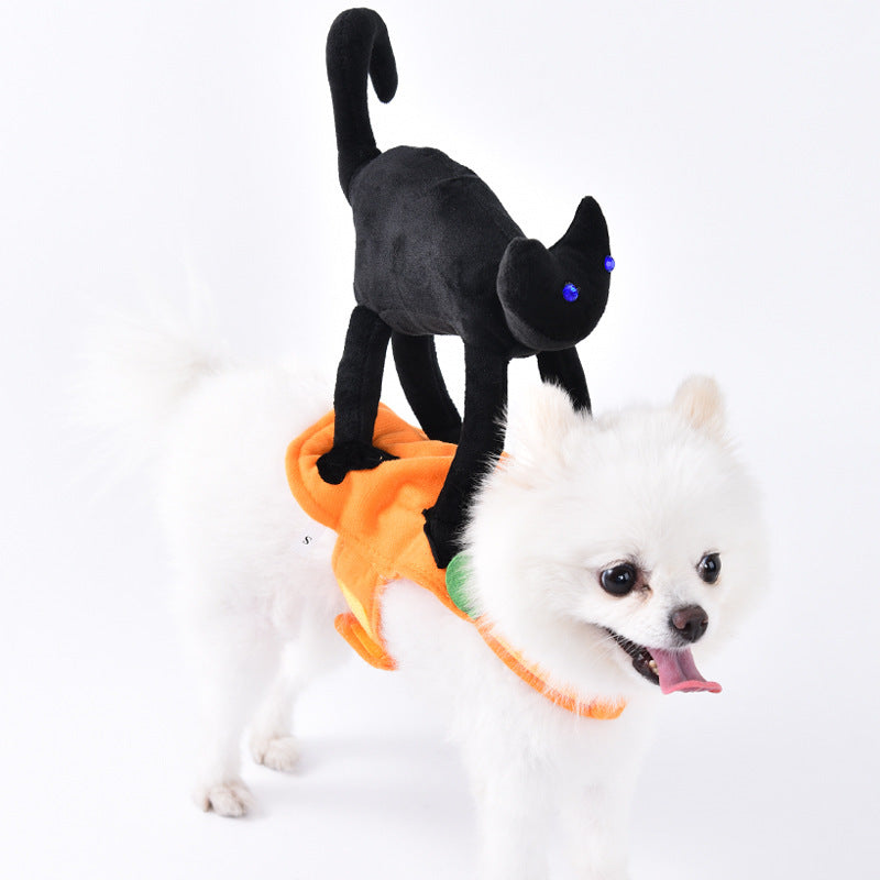 Halloween costume - Favorite pet